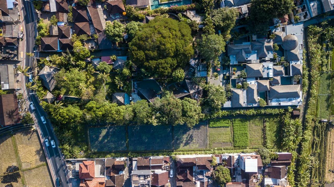 Seminyak Villa Kalyca Dış mekan fotoğraf